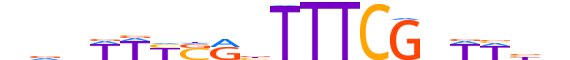 IRF7.H12INVITRO.1.SM.B reverse-complement motif logo (IRF7 gene, IRF7_HUMAN protein)