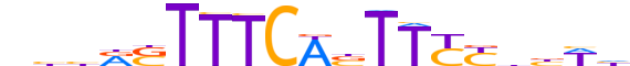 IRF8.H12INVITRO.0.P.B reverse-complement motif logo (IRF8 gene, IRF8_HUMAN protein)