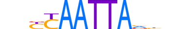 ISX.H12INVITRO.0.SM.B reverse-complement motif logo (ISX gene, ISX_HUMAN protein)