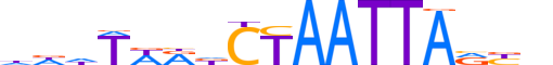 ISX.H12INVITRO.1.S.B reverse-complement motif logo (ISX gene, ISX_HUMAN protein)