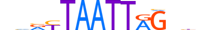 LBX2.H12INVITRO.0.S.B reverse-complement motif logo (LBX2 gene, LBX2_HUMAN protein)