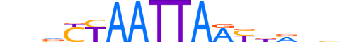 LBX2.H12INVITRO.1.S.B motif logo (LBX2 gene, LBX2_HUMAN protein)