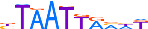 LHX3.H12INVITRO.0.P.D reverse-complement motif logo (LHX3 gene, LHX3_HUMAN protein)