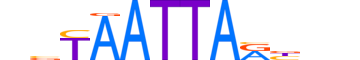 LHX4.H12INVITRO.0.SM.B motif logo (LHX4 gene, LHX4_HUMAN protein)