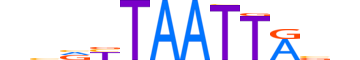 LHX5.H12INVITRO.0.PSM.A motif logo (LHX5 gene, LHX5_HUMAN protein)