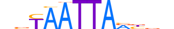 LHX5.H12INVITRO.0.PSM.A reverse-complement motif logo (LHX5 gene, LHX5_HUMAN protein)