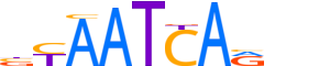 LHX6.H12INVITRO.0.P.B motif logo (LHX6 gene, LHX6_HUMAN protein)