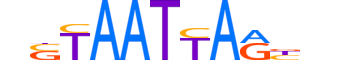 LHX8.H12INVITRO.0.S.B reverse-complement motif logo (LHX8 gene, LHX8_HUMAN protein)