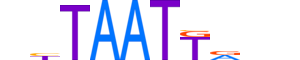 LHX9.H12INVITRO.0.PS.A motif logo (LHX9 gene, LHX9_HUMAN protein)