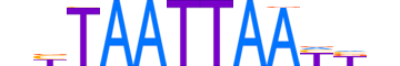 LMX1B.H12INVITRO.1.SM.B motif logo (LMX1B gene, LMX1B_HUMAN protein)