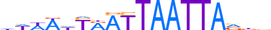 LMX1B.H12INVITRO.2.S.B reverse-complement motif logo (LMX1B gene, LMX1B_HUMAN protein)