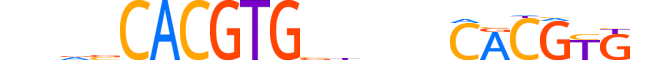 MAX.H12INVITRO.2.S.C motif logo (MAX gene, MAX_HUMAN protein)