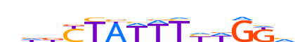 MEF2C.H12INVITRO.0.P.B motif logo (MEF2C gene, MEF2C_HUMAN protein)