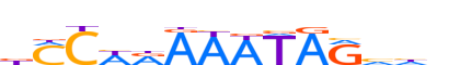 MEF2C.H12INVITRO.0.P.B reverse-complement motif logo (MEF2C gene, MEF2C_HUMAN protein)