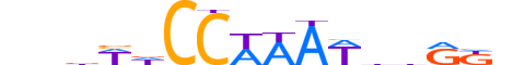 MEF2D.H12INVITRO.1.M.C reverse-complement motif logo (MEF2D gene, MEF2D_HUMAN protein)