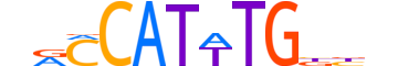 MSGN1.H12INVITRO.0.PSM.A reverse-complement motif logo (MSGN1 gene, MSGN1_HUMAN protein)