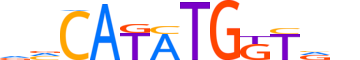 MUSC.H12INVITRO.0.SM.B motif logo (MSC gene, MUSC_HUMAN protein)