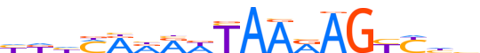 MYNN.H12INVITRO.0.P.D reverse-complement motif logo (MYNN gene, MYNN_HUMAN protein)