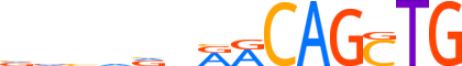 MYOD1.H12INVITRO.0.P.B reverse-complement motif logo (MYOD1 gene, MYOD1_HUMAN protein)