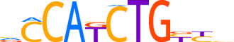 NDF1.H12INVITRO.0.P.B reverse-complement motif logo (NEUROD1 gene, NDF1_HUMAN protein)