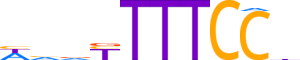 NFAC4.H12INVITRO.0.P.C reverse-complement motif logo (NFATC4 gene, NFAC4_HUMAN protein)