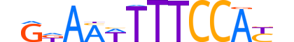 NFAT5.H12INVITRO.1.PS.A reverse-complement motif logo (NFAT5 gene, NFAT5_HUMAN protein)