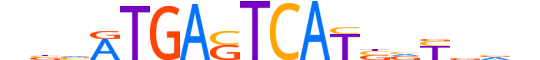 NFE2.H12INVITRO.1.SM.B motif logo (NFE2 gene, NFE2_HUMAN protein)