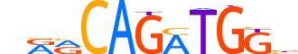 NGN2.H12INVITRO.0.P.B motif logo (NEUROG2 gene, NGN2_HUMAN protein)