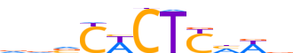 NKX21.H12INVITRO.0.P.D reverse-complement motif logo (NKX2-1 gene, NKX21_HUMAN protein)