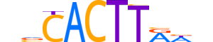 NKX23.H12INVITRO.0.SM.B reverse-complement motif logo (NKX2-3 gene, NKX23_HUMAN protein)