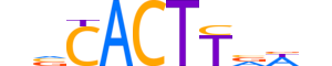 NKX28.H12INVITRO.0.SM.B reverse-complement motif logo (NKX2-8 gene, NKX28_HUMAN protein)