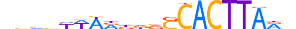 NKX32.H12INVITRO.1.S.B reverse-complement motif logo (NKX3-2 gene, NKX32_HUMAN protein)