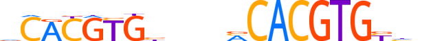 NPAS2.H12INVITRO.2.S.B motif logo (NPAS2 gene, NPAS2_HUMAN protein)