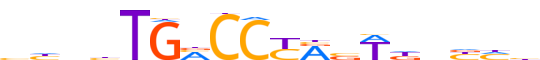 NR1D2.H12INVITRO.0.P.B reverse-complement motif logo (NR1D2 gene, NR1D2_HUMAN protein)