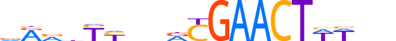 NR1I3.H12INVITRO.2.M.C reverse-complement motif logo (NR1I3 gene, NR1I3_HUMAN protein)