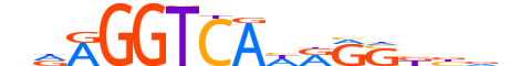 NR2C1.H12INVITRO.1.PM.A motif logo (NR2C1 gene, NR2C1_HUMAN protein)