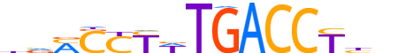 NR2F6.H12INVITRO.2.SM.B reverse-complement motif logo (NR2F6 gene, NR2F6_HUMAN protein)