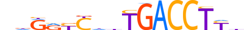 NR2F6.H12INVITRO.3.SM.B reverse-complement motif logo (NR2F6 gene, NR2F6_HUMAN protein)