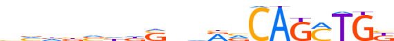 OLIG2.H12INVITRO.0.P.B reverse-complement motif logo (OLIG2 gene, OLIG2_HUMAN protein)