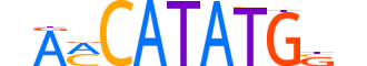 OLIG3.H12INVITRO.0.SM.B reverse-complement motif logo (OLIG3 gene, OLIG3_HUMAN protein)