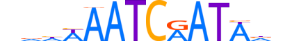 ONEC3.H12INVITRO.0.S.B reverse-complement motif logo (ONECUT3 gene, ONEC3_HUMAN protein)