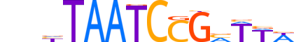 OTX1.H12INVITRO.1.S.B reverse-complement motif logo (OTX1 gene, OTX1_HUMAN protein)