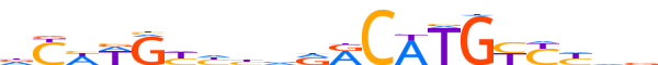 P53.H12INVITRO.0.P.B motif logo (TP53 gene, P53_HUMAN protein)