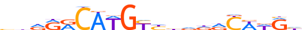 P53.H12INVITRO.0.P.B reverse-complement motif logo (TP53 gene, P53_HUMAN protein)