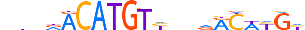 P63.H12INVITRO.0.PS.A reverse-complement motif logo (TP63 gene, P63_HUMAN protein)