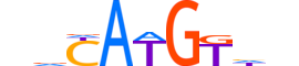 P63.H12INVITRO.1.PS.A motif logo (TP63 gene, P63_HUMAN protein)