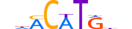 P63.H12INVITRO.1.PS.A reverse-complement motif logo (TP63 gene, P63_HUMAN protein)