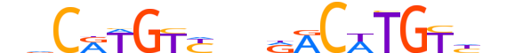 P73.H12INVITRO.0.PS.A motif logo (TP73 gene, P73_HUMAN protein)