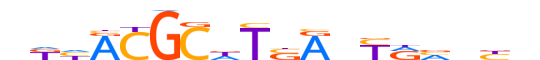 PAX6.H12INVITRO.0.PSM.A motif logo (PAX6 gene, PAX6_HUMAN protein)