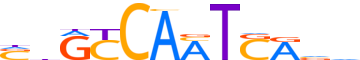 PBX3.H12INVITRO.0.P.D reverse-complement motif logo (PBX3 gene, PBX3_HUMAN protein)